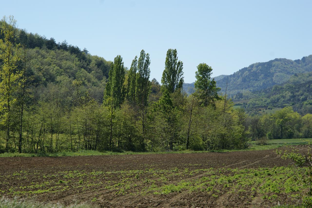 Bed and Breakfast Domaine De Luzenac Val-du-Faby Exterior foto
